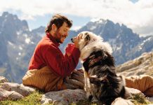 iStock-1594920294-cane-con-trekking