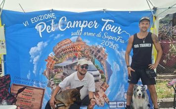 pet-camper-tour-magicland