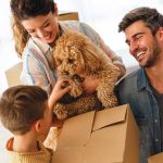 iStock-2218291740-trasloco-con-i-pet