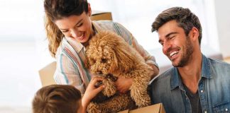 iStock-2218291740-trasloco-con-i-pet