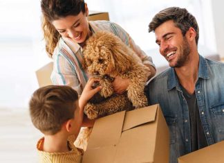 Traslocare insieme al cane iStock-2218291740-trasloco-con-i-pet