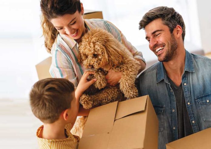 iStock-2218291740-trasloco-con-i-pet iStock-2218291740-trasloco-con-i-pet