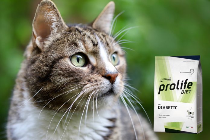 diabete-nel-gatto diabete-nel-gatto