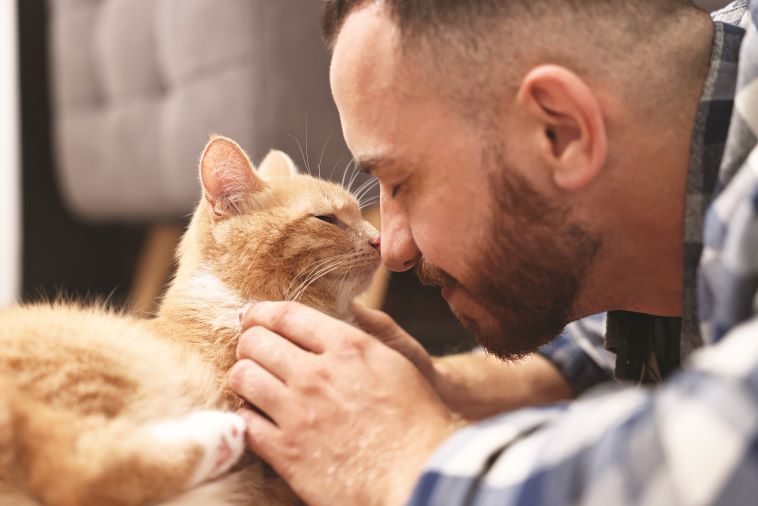 Gatto coccola il proprietario