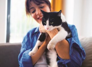 iStock-2236326555-gatto-rifiuta-di-stare-in-braccio