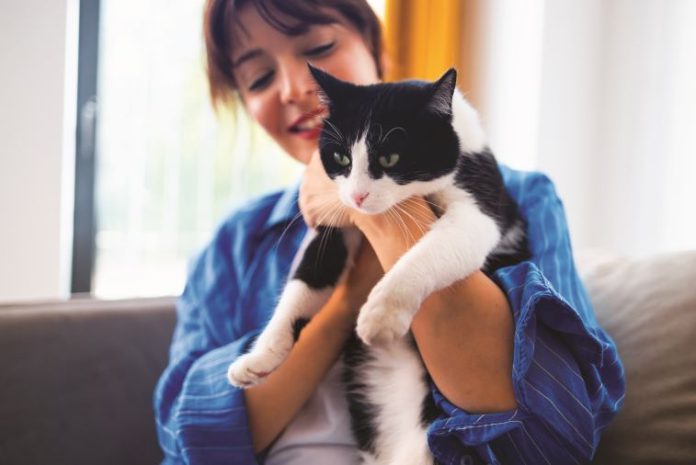 iStock-2236326555-gatto-rifiuta-di-stare-in-braccio